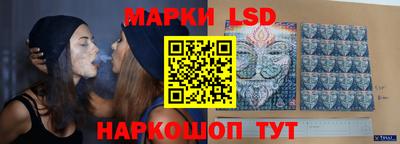 индика Краснокаменск