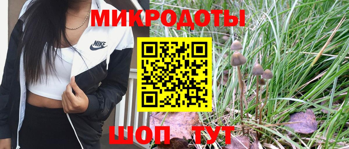 Псилоцибиновые грибы Magic Shrooms Камышин
