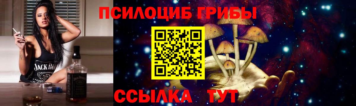 Псилоцибиновые грибы Cubensis  Вход с VPN  Камышин 