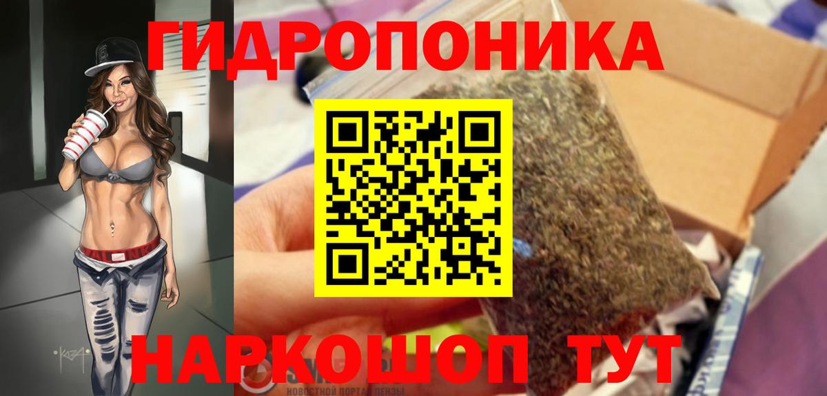 Канабис Ganja  Марихуана ГИДРОПОН  Вход с VPN  Камышин  Каннабис план 