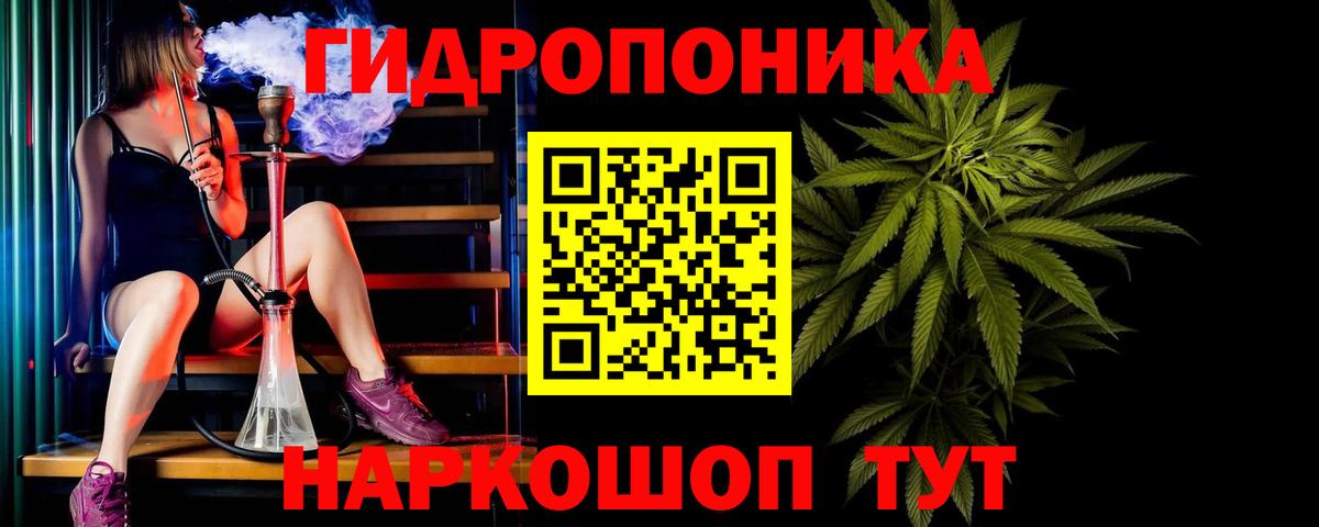 Бошки Шишки AK-47 Камышин